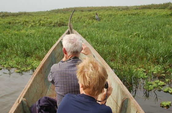 Shoebill Stork and Birdwatching Tour at Mabamba swamp
