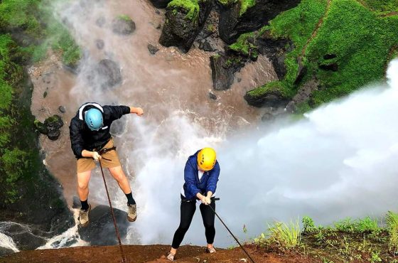 Uganda Safari: The Ultimate Guide to Tours, Parks & Wildlife (2025)