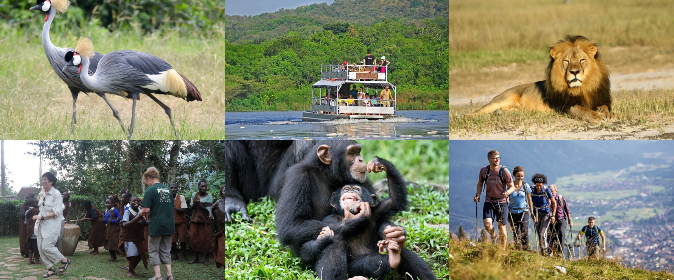 queen elizabeth national park