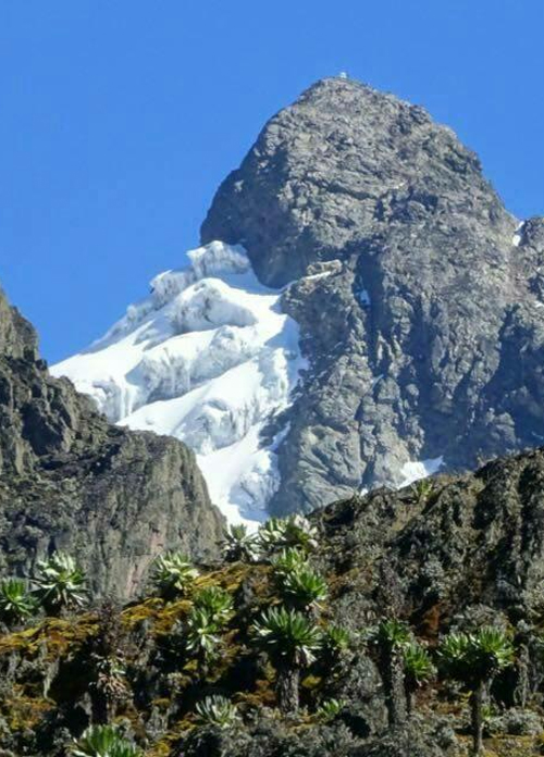 Mt Rwenzori