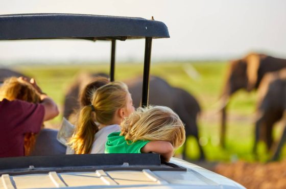 Uganda Family Safari: A Complete Guide for an Unforgettable Adventure with Kids 2025