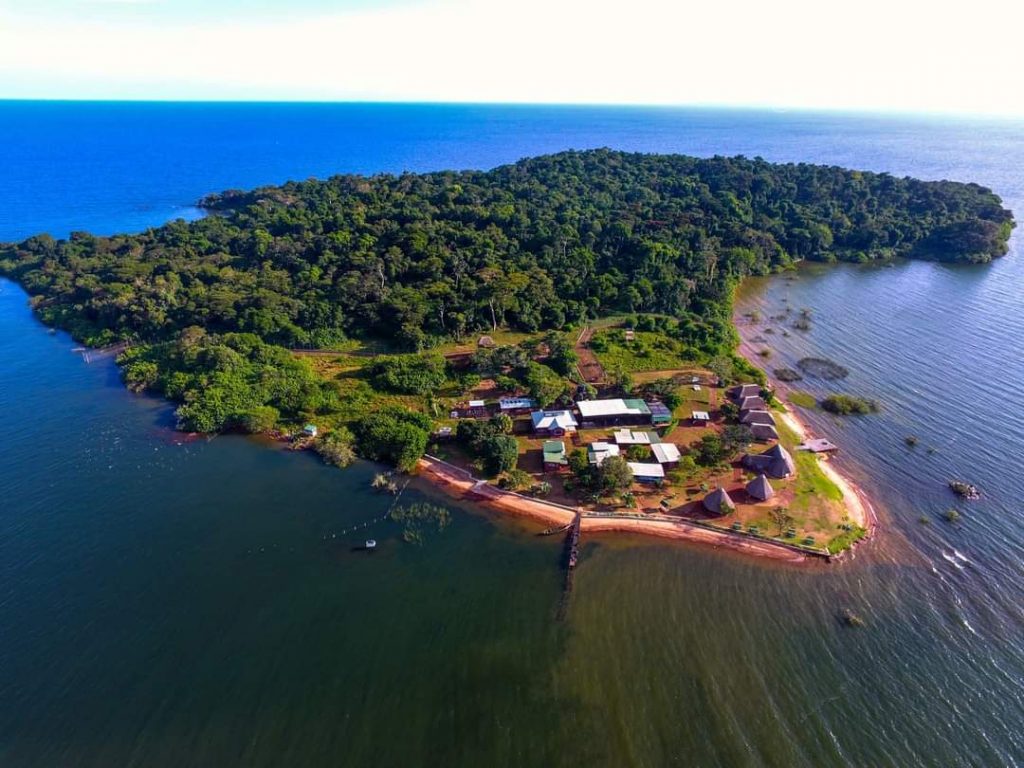 ngamba island