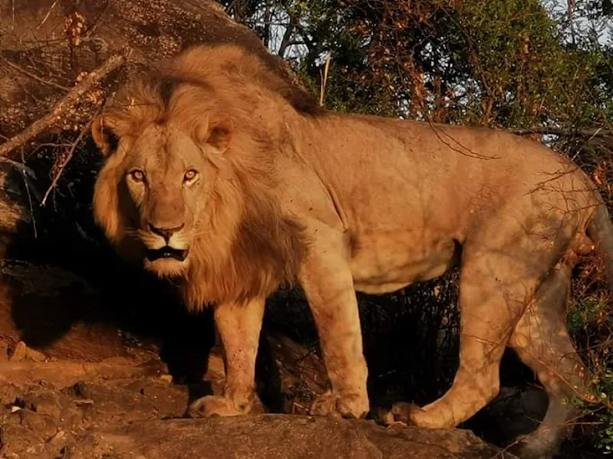 Uganda's hidden gems